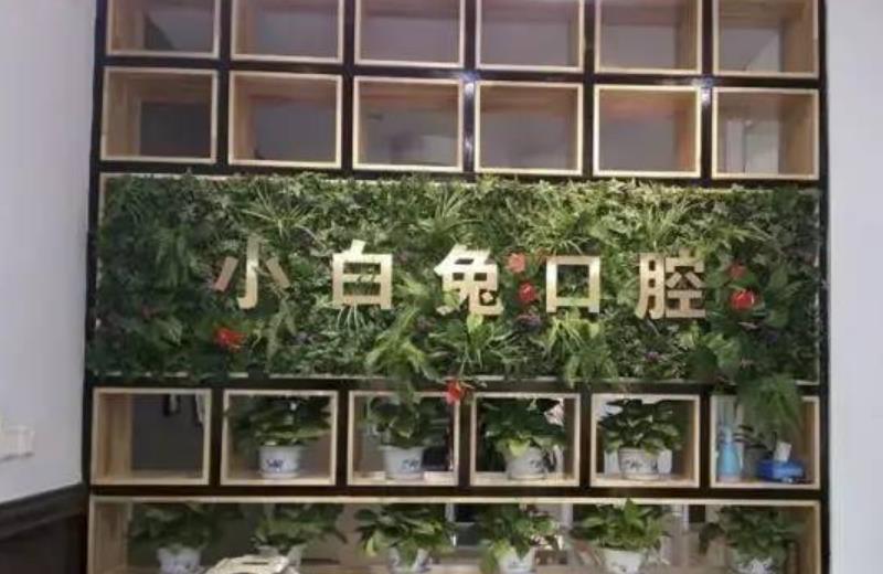 延安小白兔口腔医院怎么样？做牙齿种植项目好不好？医院介绍附案例和价格表！(图1)