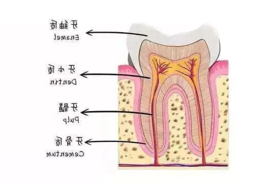 呼和浩特市牙齿矫正医院大比拼：华医、欧贝、朝悦、优洁哪家强？(图2)