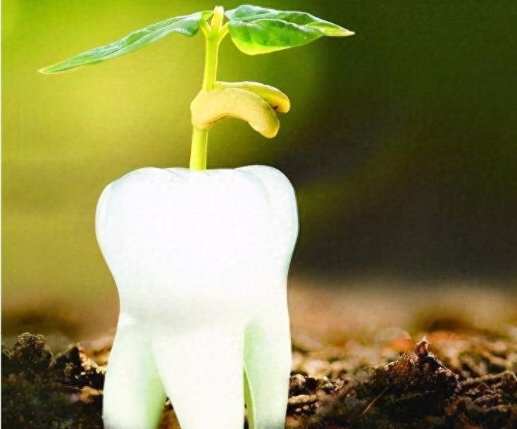 南昌种植牙医院排名揭晓：维乐、达芬奇、鼎植三强鼎立(图1)