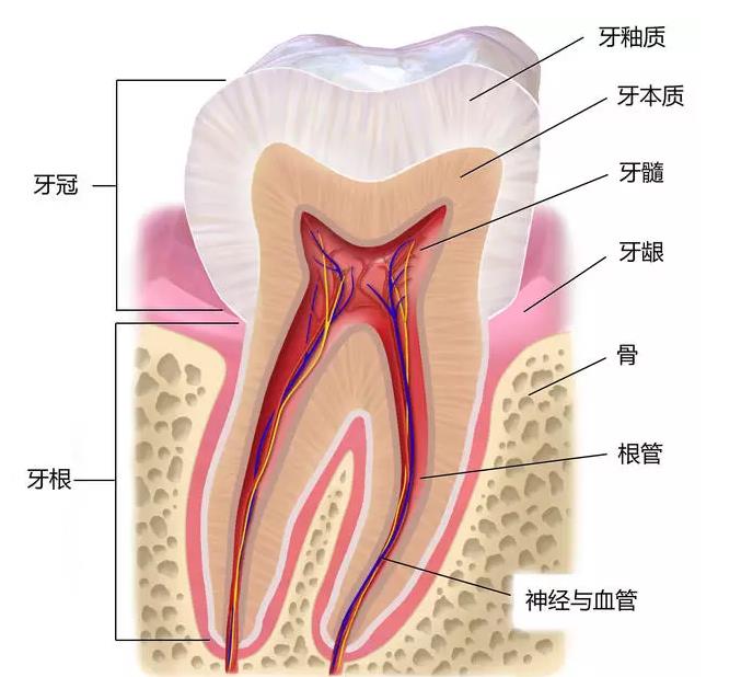 北京顶尖私立口腔医院大比拼：患者信赖之选(图2)