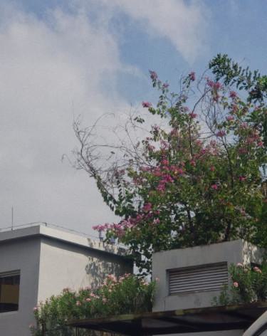 深圳中天口腔有几家分院？1家！含龙岗院区地址+营业时间+医生团队介绍(图1)